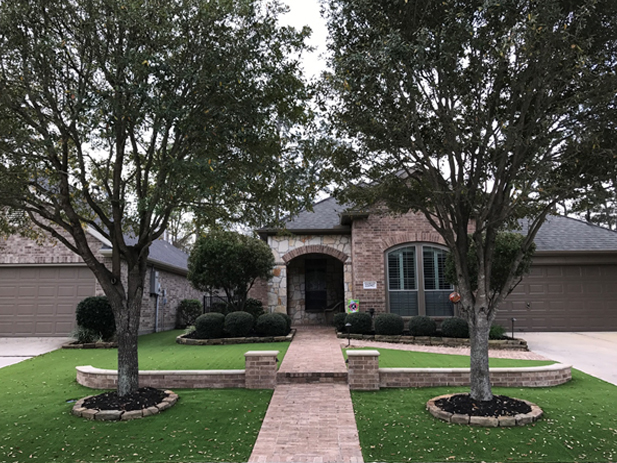 Front Lawn  Turf Front Lawn  Turf